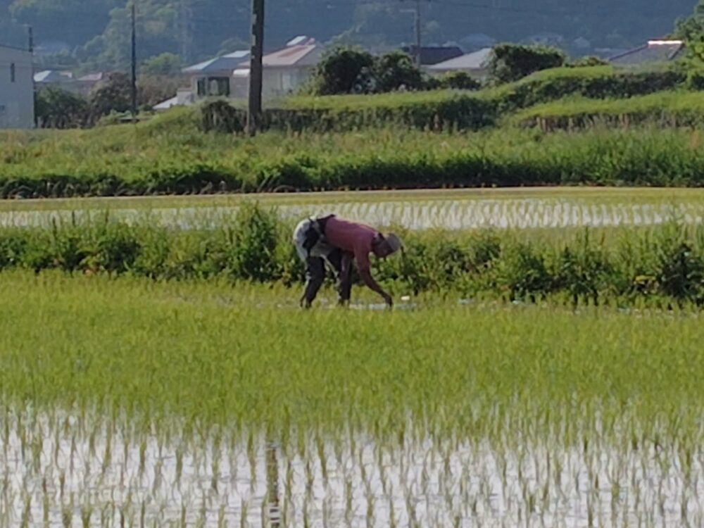 里山体験民泊こえむの画像です