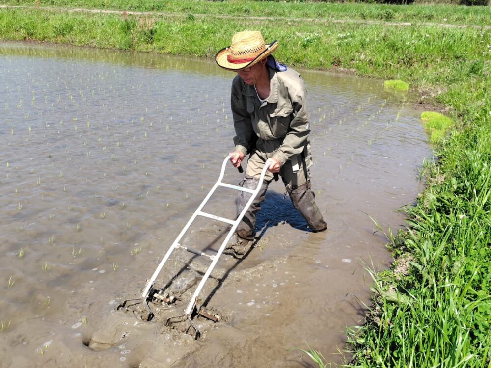 里山体験民泊こえむの画像です