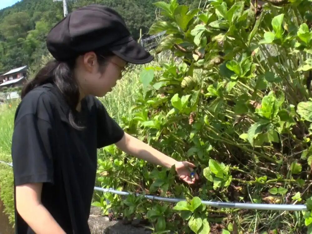 森山綺羅さんの画像です