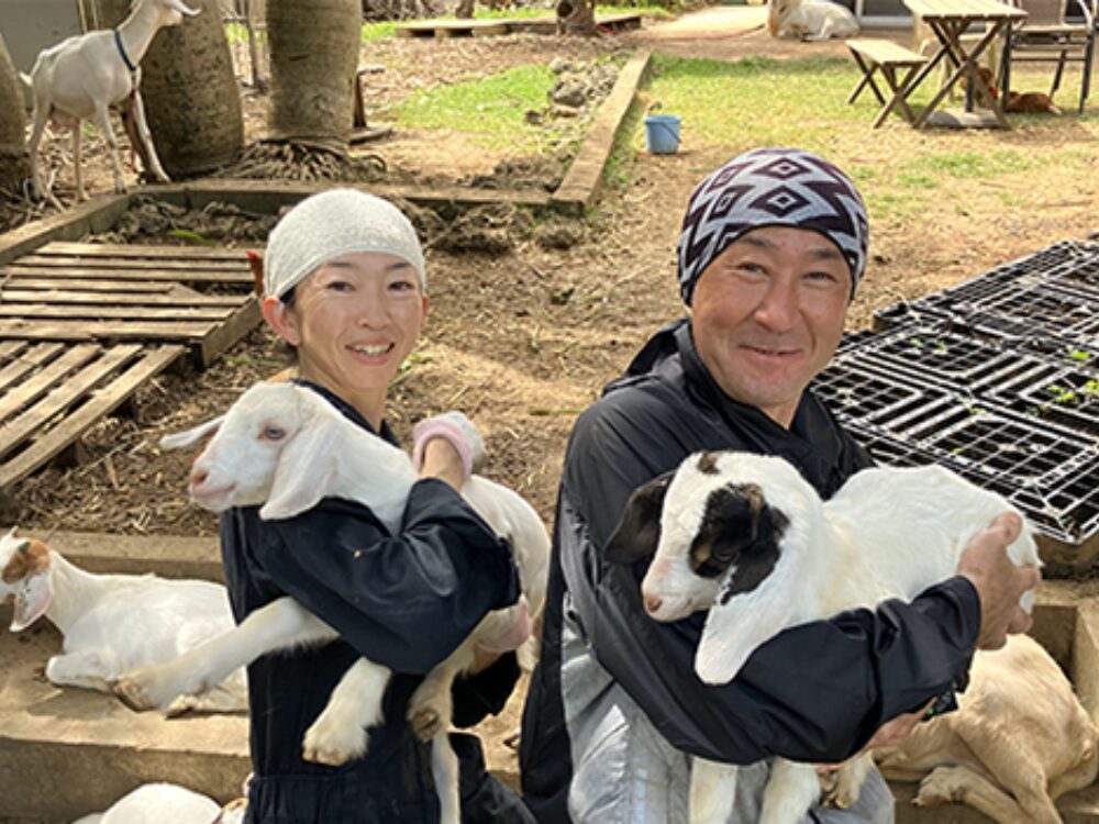 ツンフグ牧場の画像です