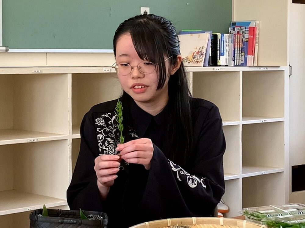森山綺羅さんの画像です