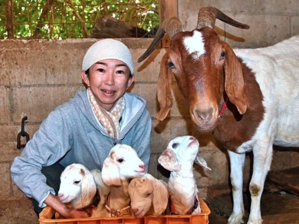 ツンフグ牧場の画像です