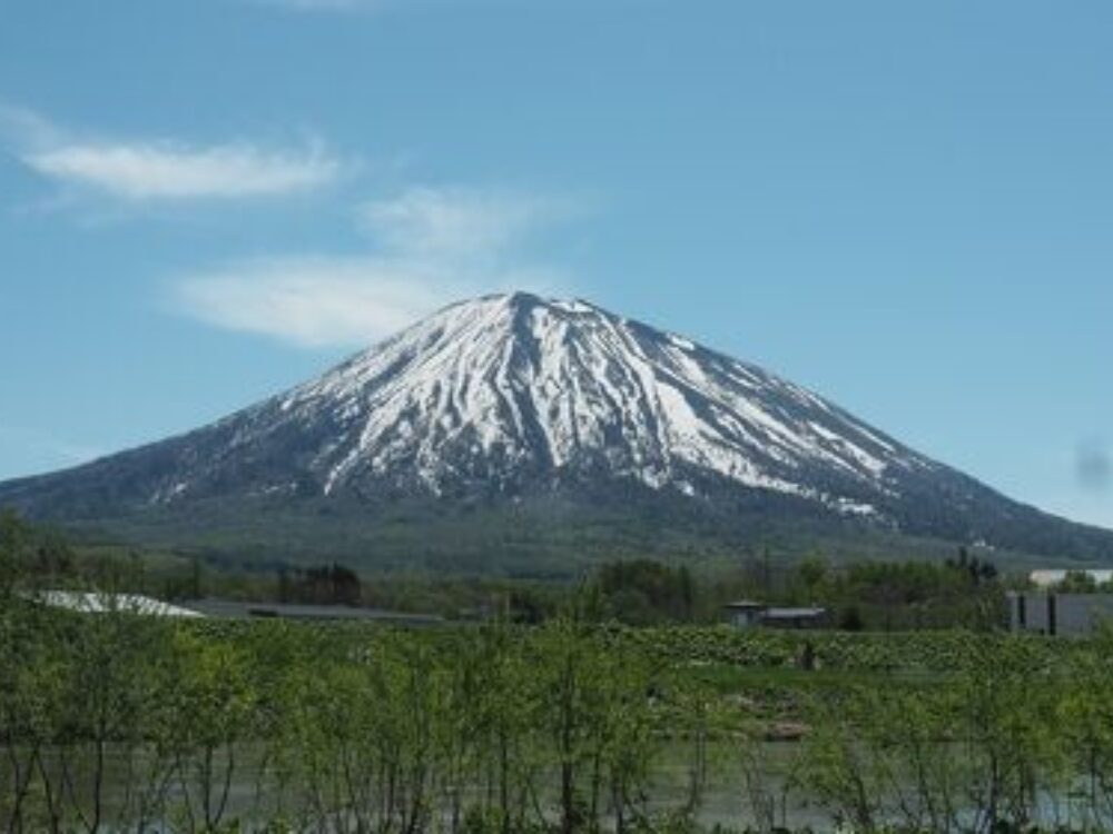 株式会社拓世建設の画像です