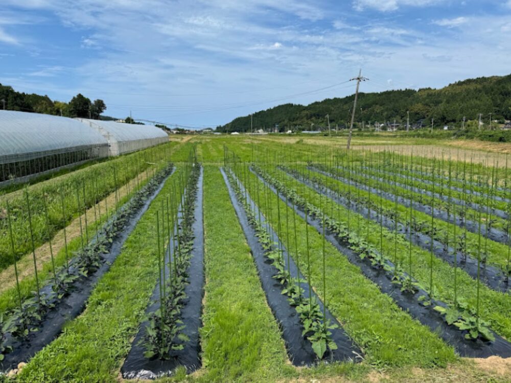 上田拓郎さんの画像です