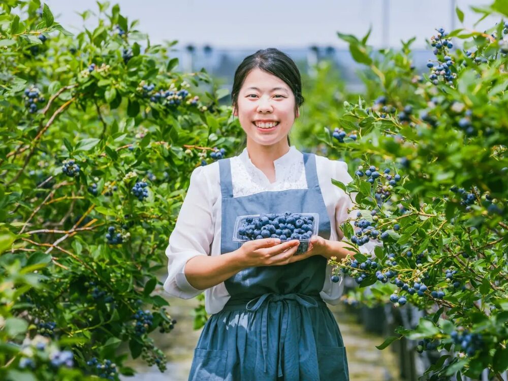 ベリーズパーク郡山の画像です