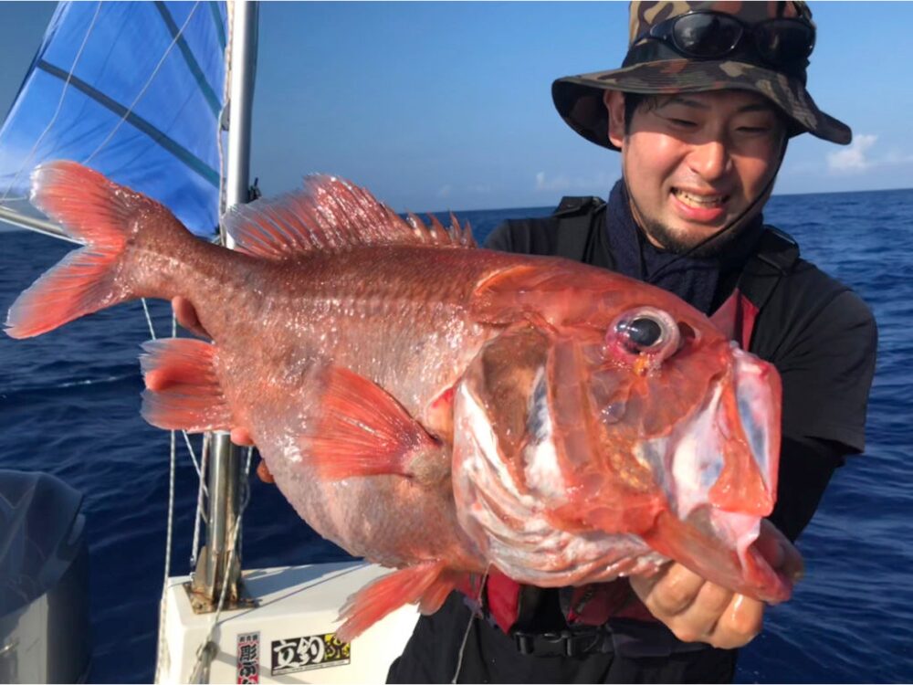 平坂寛さんの画像です