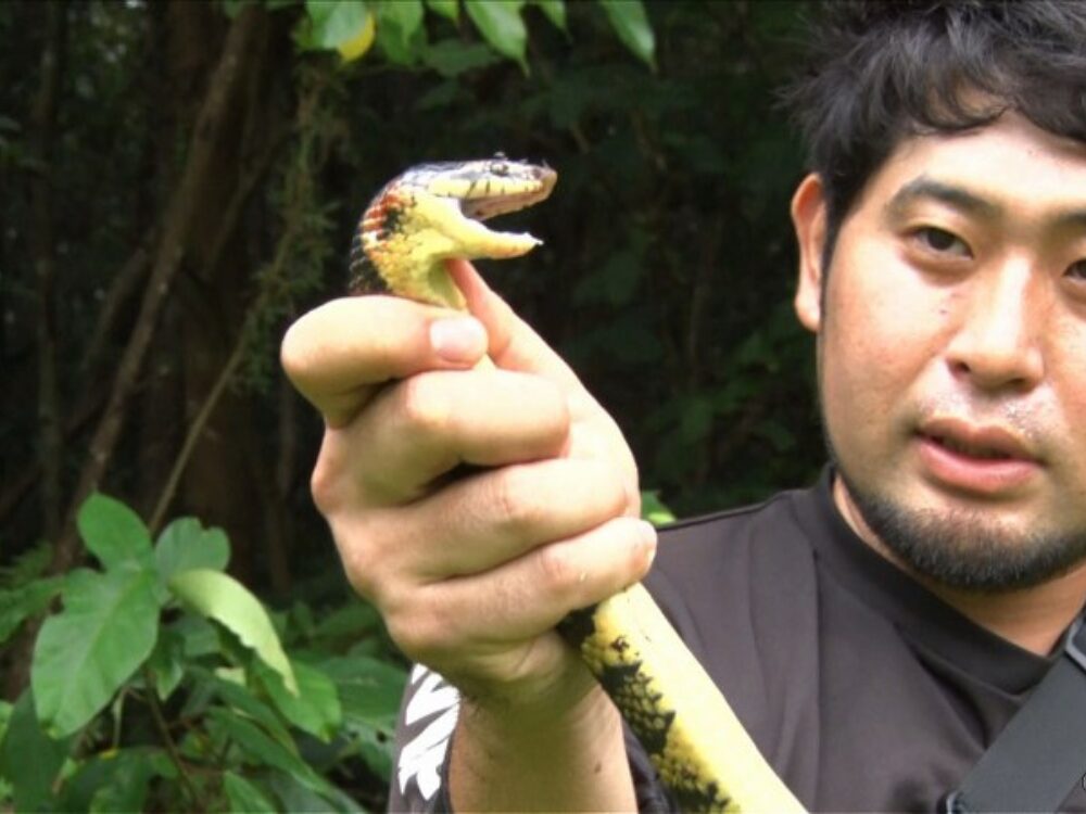平坂寛さんの画像です