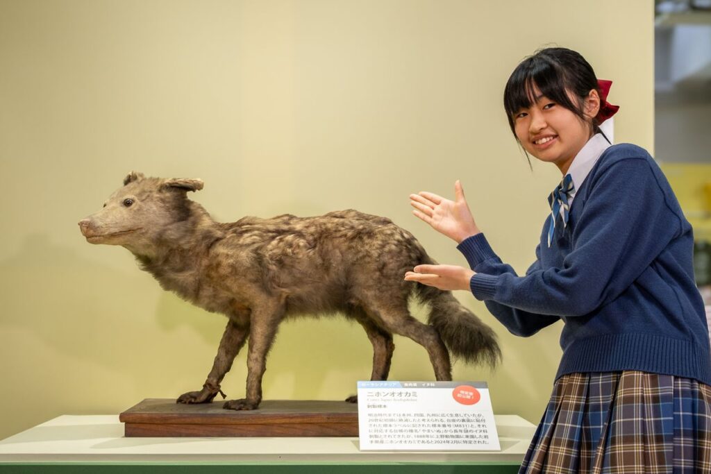 小森日菜子さんの画像です
