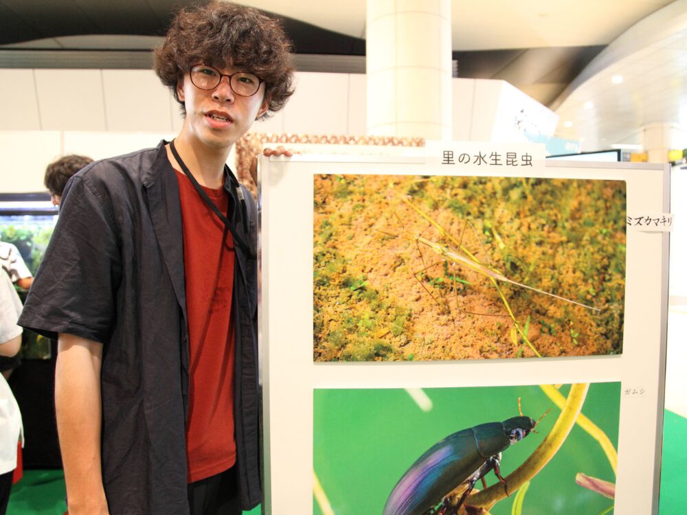 トーキョーバグボーイズの画像です