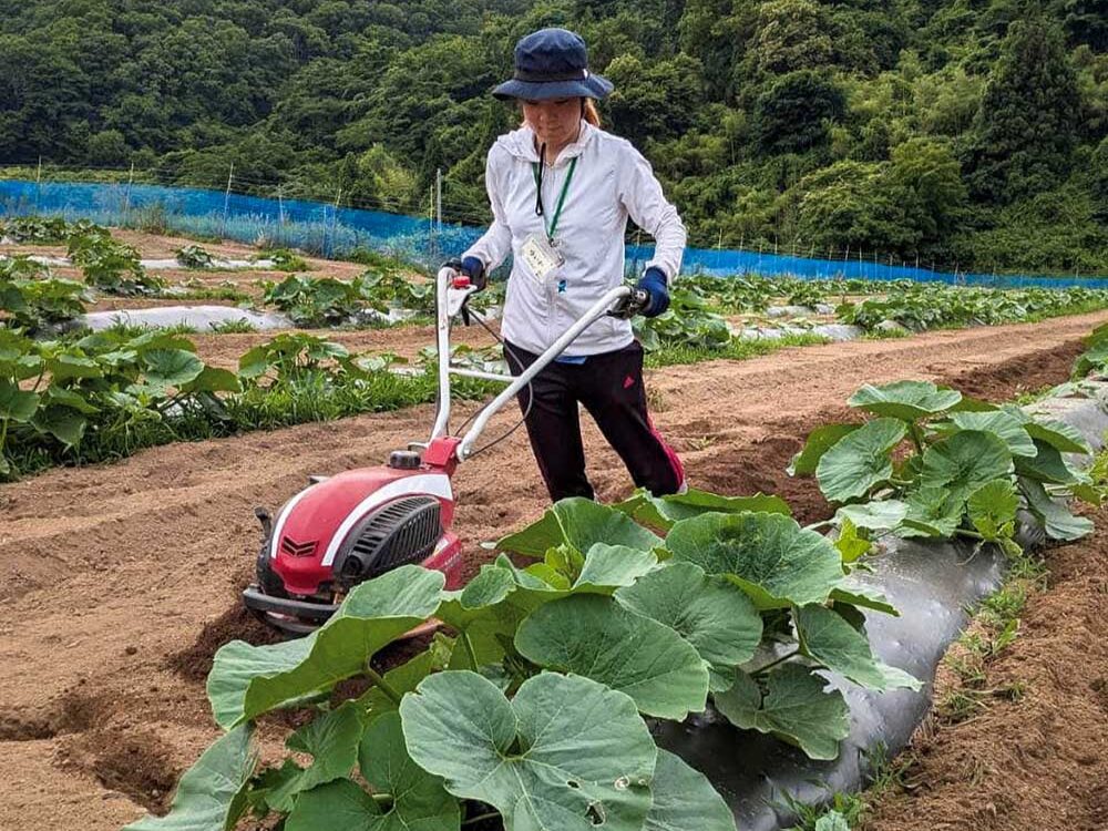 古今呂の宿 福とみの画像です