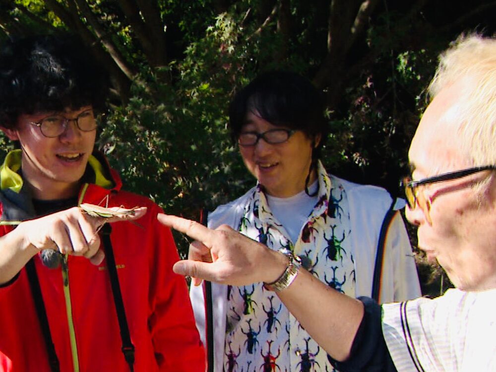 トーキョーバグボーイズの画像です