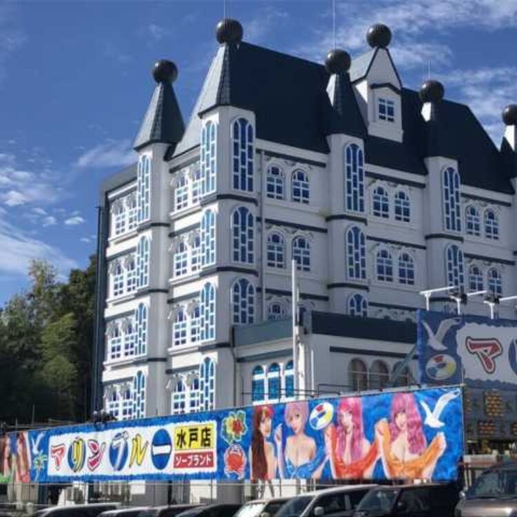 森下グループの画像です