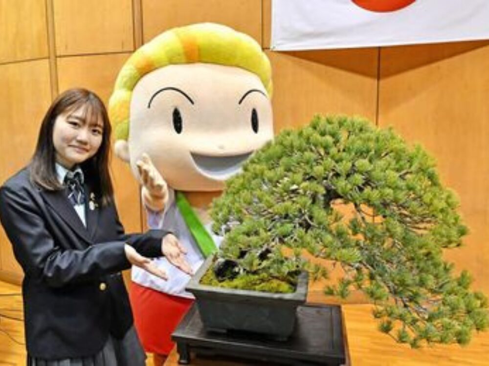 清水ちえりさんの画像です