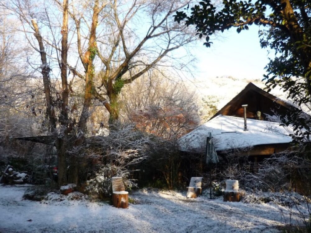 遠藤珠美さんの画像です