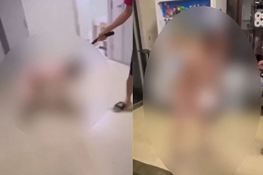 酒田南高校の画像です