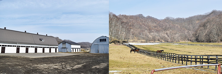 有限会社浜本牧場の画像です