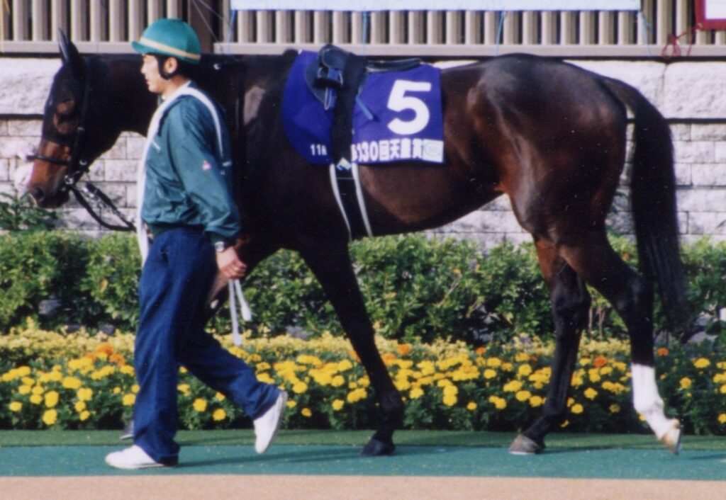 有限会社浜本牧場の画像です