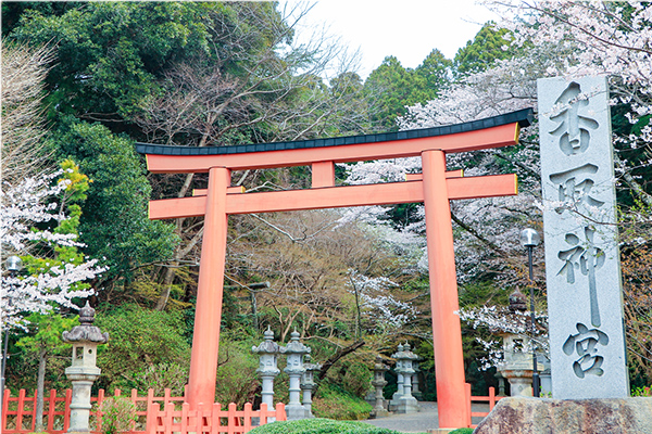 香取神宮の画像です
