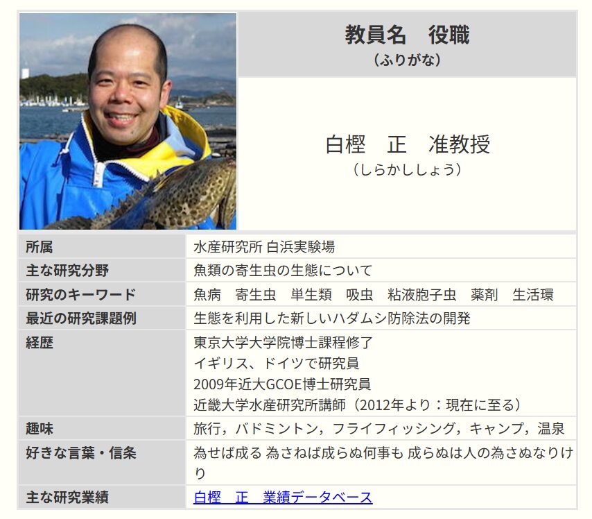 白樫正の画像です