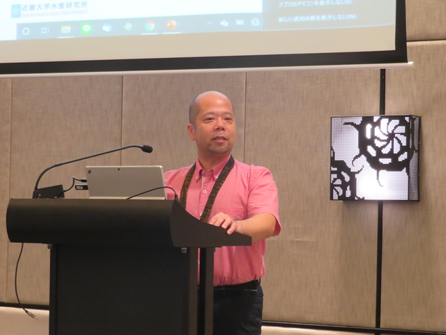 白樫正の画像です