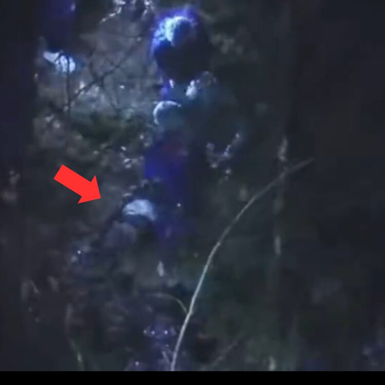 報道ステーションの画像です