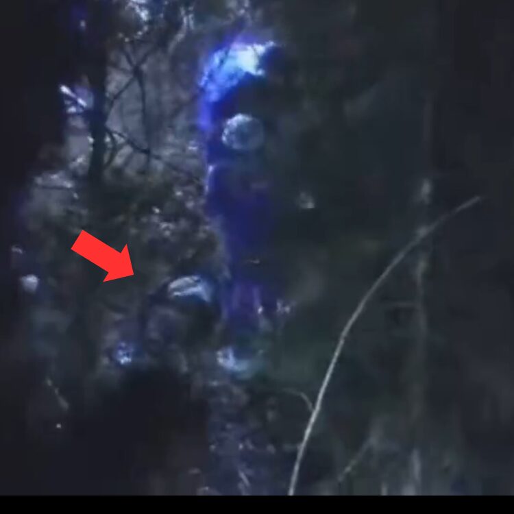 報道ステーションの画像です