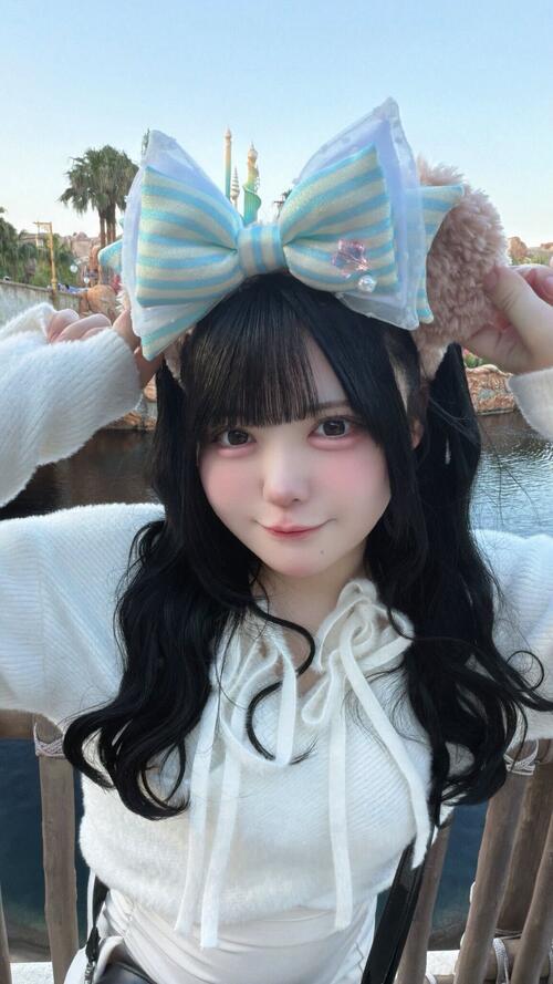 あざらしの画像です