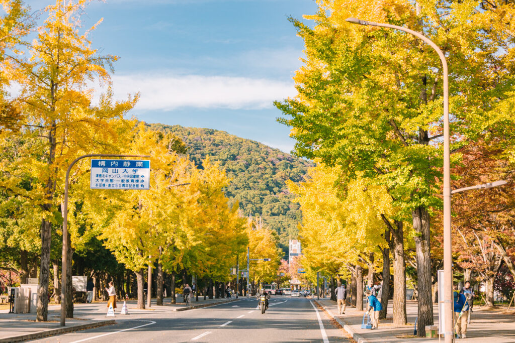 岡山大学の画像です