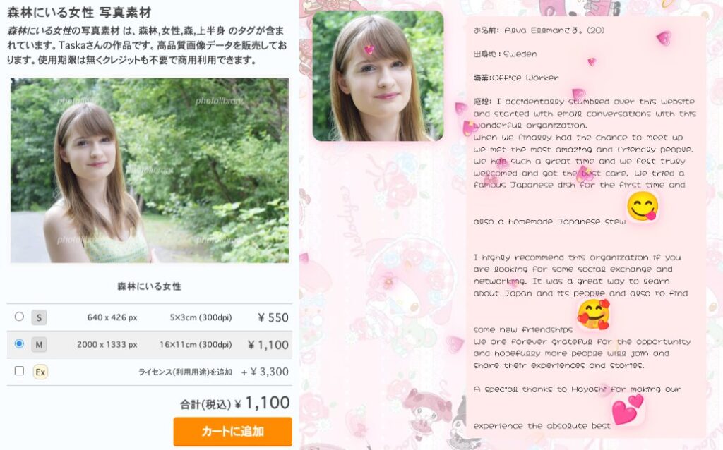 インターナショナルフレンドシップクラブの画像です